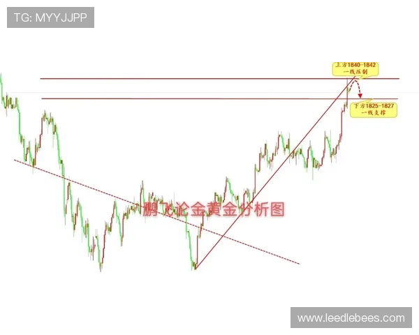 开云网页版最新更新内容：新功能、新活动全方位解析与攻略