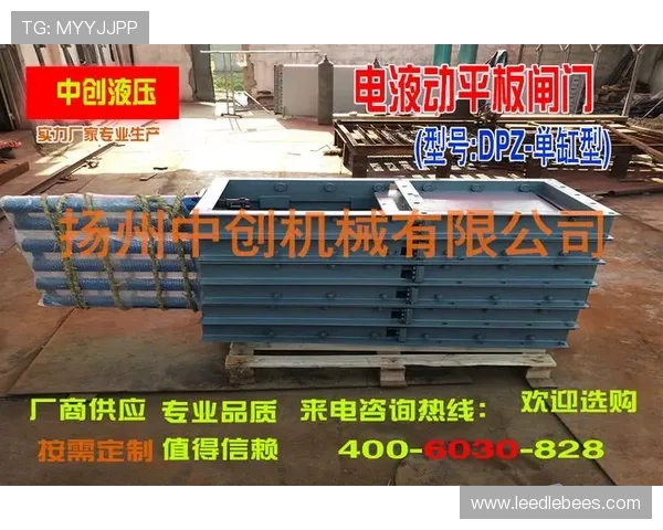 开云Kaiyun电脑版官网提供多平台同步体验与账号管理指南
