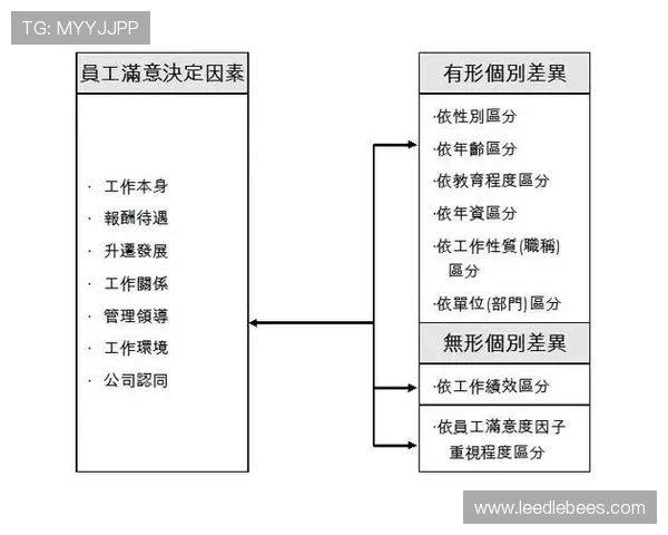 开云app官方入口评价：平台界面设计与操作流程的用户满意度调查报告